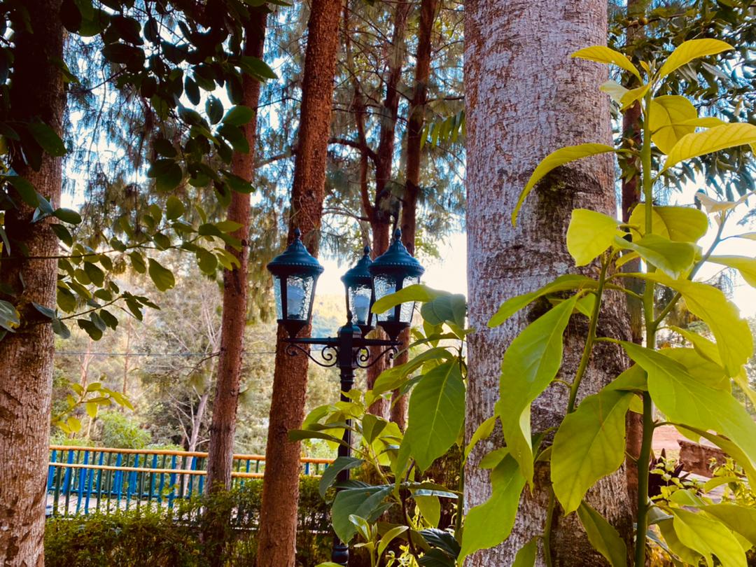 Sound of Light sanctuary in the Usambara Mountains, Lushoto
