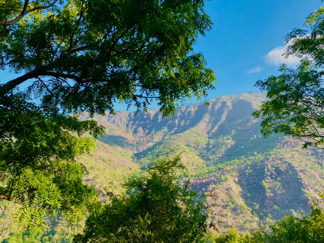 Usambara Mountains landscape at Sound of Light retreat, Lushoto